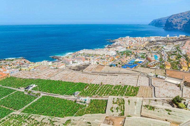 Foto 2c4b23ec-1a99-4e11-82be-b8d55c44b6b7. Finca rústica a Puerto de Santiago Santiago del Teide