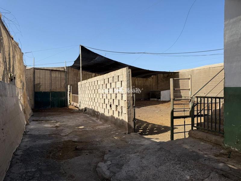 Foto 12918c01-25e2-483b-b5d2-e9dc70a3930a. Finca rústica a Cho - Parque de la Reina Arona