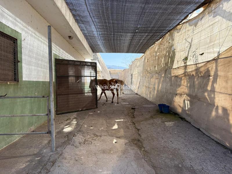 Foto 55a7668c-47bd-439c-9945-3398a95c1a83. Finca rústica a Cho - Parque de la Reina Arona