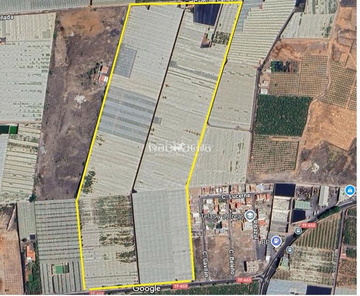 Foto 86a8d068-7c6b-4fcf-8e97-59ad58a5fee5. Finca rústica a Cho - Parque de la Reina Arona