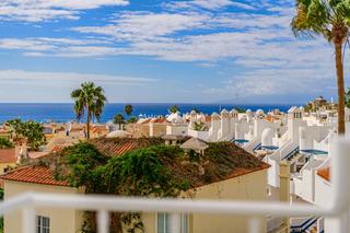 Attique  De bruselas. En torviscas bajo