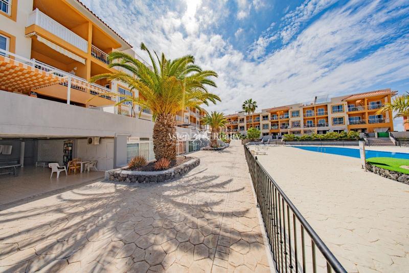 Foto 96e8c211-9bc7-4bc4-bffd-9c6b5689b876. Piccolo appartamento con piscina in Callao Salvaje - Playa Paraíso Adeje