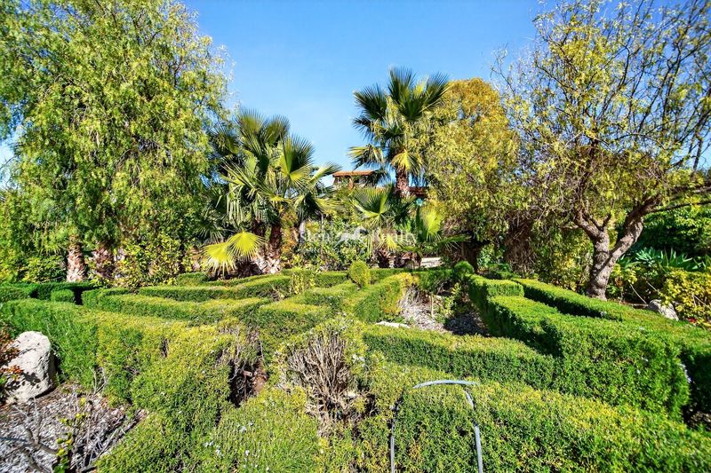 Foto ef8a7a0d-7ea1-43db-8626-3a6380826694. Terreny residencial a Vilaflor