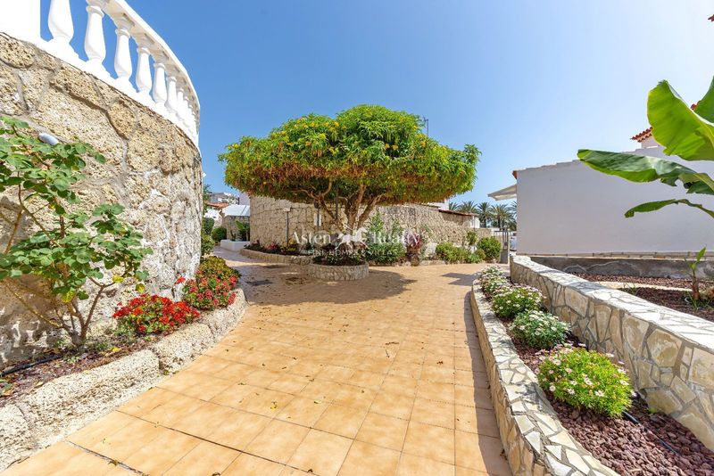 Foto 400ee8c6-8e06-45a4-92e1-4783a84f5612. Estudi amb piscina a Playa de las Américas Arona