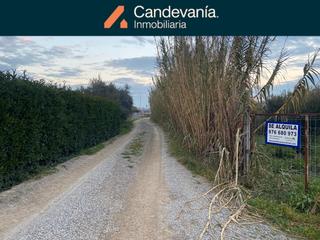 Rent Rural plot in Zuera