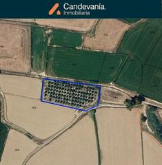 Fondo rustico in Zuera