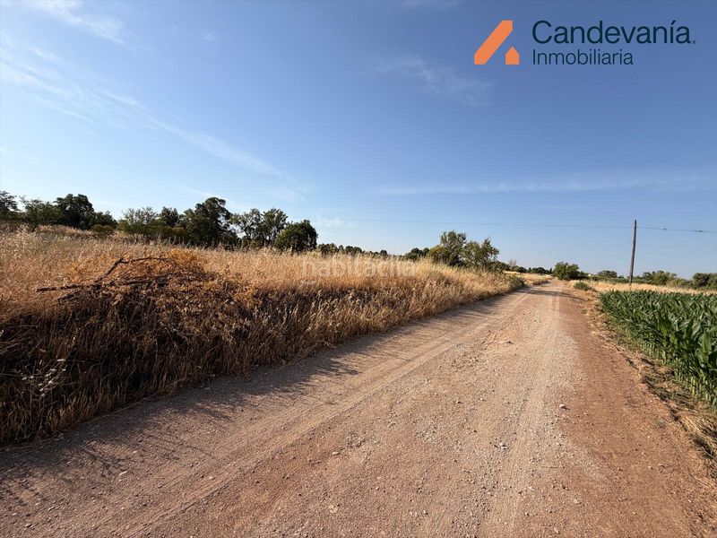 Foto d59b31b1-00f2-4e6d-8eda-8085ada8c2dd. Finca rústica a San Mateo de Gállego