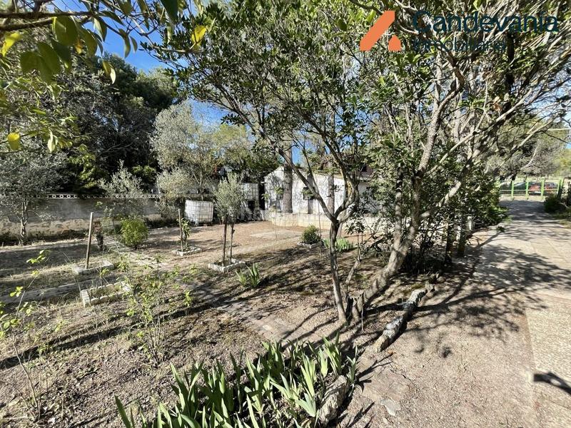 Foto e3538ba1-a25d-4f37-95e3-24a79173e157. Casale in Zuera