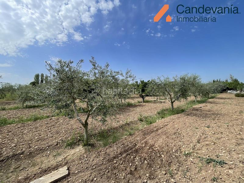 Foto 7d371bdc-7c81-4689-a6a0-c3fd3c8e3bef. Landgut in Gurrea de Gállego