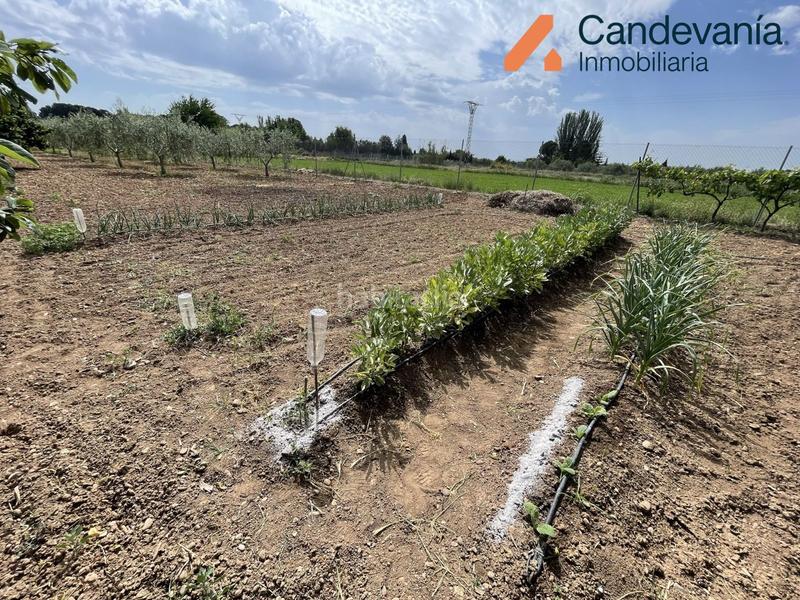 Foto 66cdcc3c-2a1a-4b5e-adb7-89e7dd47e1db. Finca rústica a Gurrea de Gállego