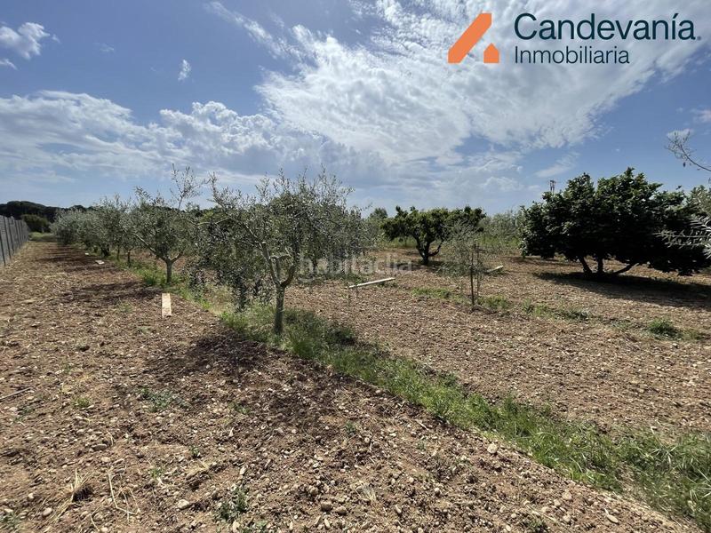 Foto 675d2ac0-80f4-4c6a-91d0-e58259c4a52f. Finca rústica a Gurrea de Gállego