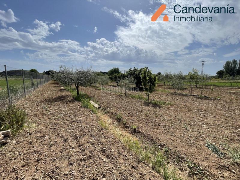 Foto 7c21da3a-3a45-4cc2-96b4-25c7ead02a67. Finca rústica a Gurrea de Gállego