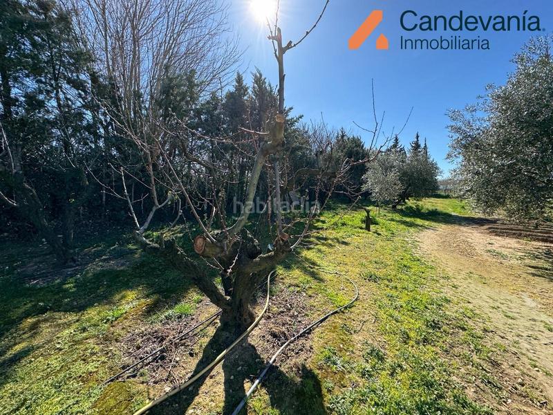 Foto 20c6a7fe-9853-4d93-ac91-3e66fd7717b8. Chalet mit kamin in Gurrea de Gállego