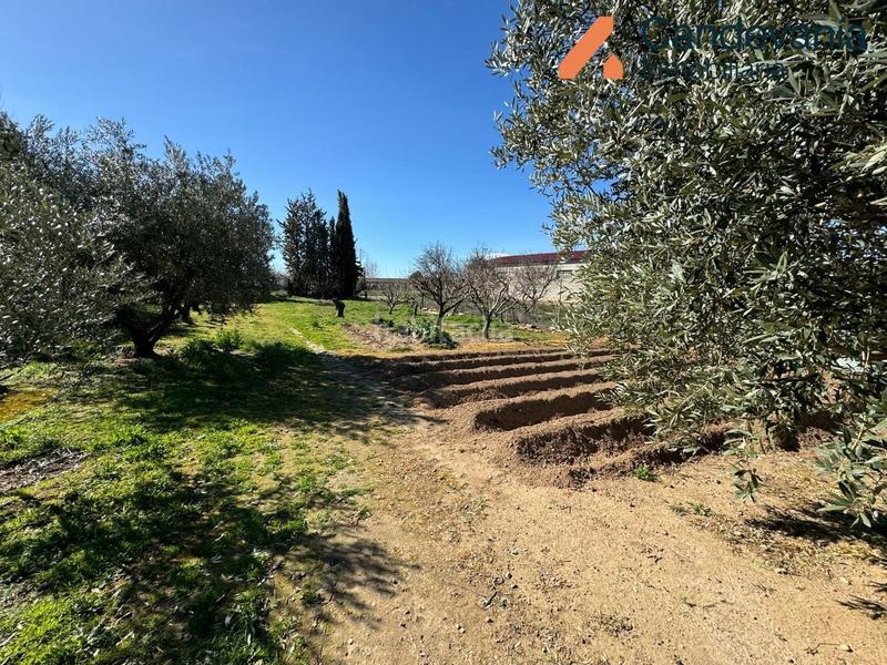 Foto 8624fa19-9ec8-4b22-b678-e4ff6623dc44. Chalet mit kamin in Gurrea de Gállego