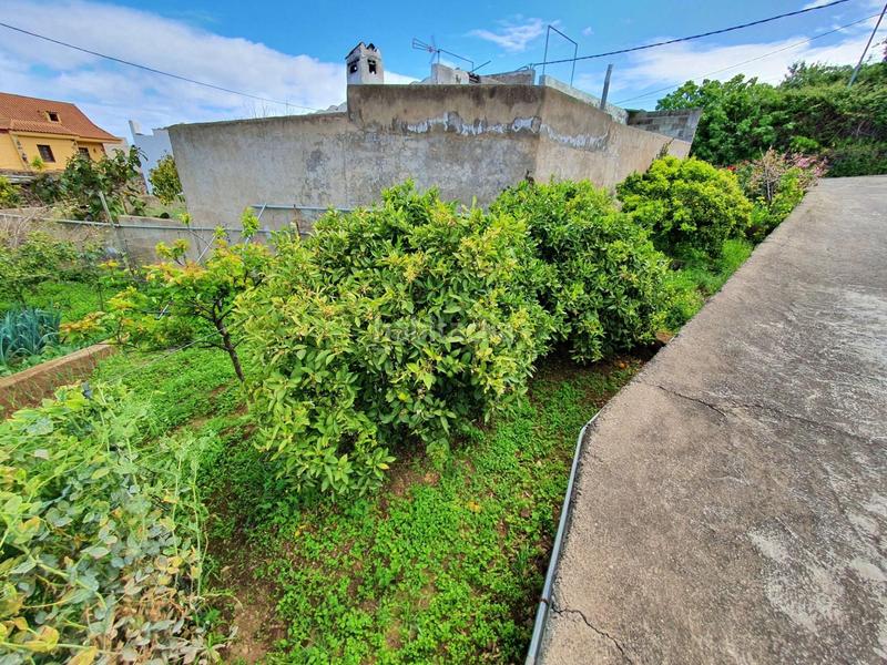 Foto c3e39872-af64-4ebe-8625-edb833efe42c. Mas avec parking dans La Vega - El Amparo - Cueva del Viento Icod de los Vinos