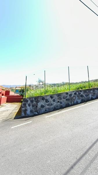 Foto 5ba70e51-f5f5-41a3-b7e6-1b9f9cc1b548. Rural plot in Palo Blanco Realejos (Los)