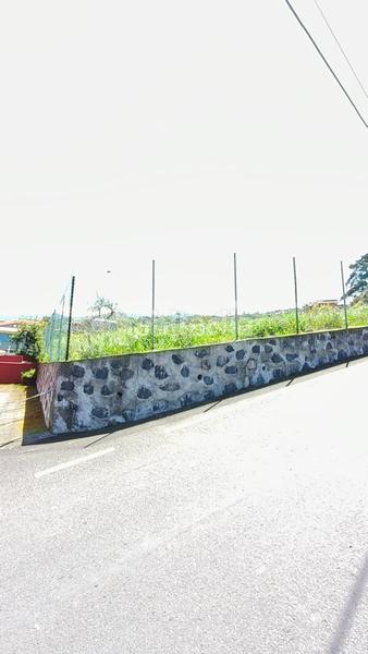 Foto 9a8fd8a8-d8cb-4ef7-a3aa-e6a5cf25f970. Rural plot in Palo Blanco Realejos (Los)