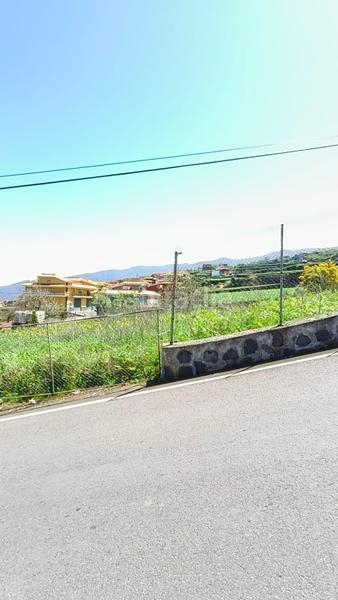 Foto a9a9c534-3ce0-49fe-aa49-658c257b3031. Rural plot in Palo Blanco Realejos (Los)