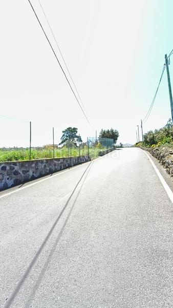 Foto d074fe02-16bd-4a14-97bb-d8ceee98422e. Rural plot in Palo Blanco Realejos (Los)