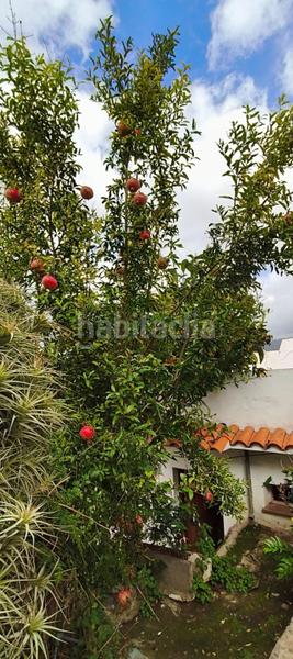 Foto ab7cca6f-832d-431e-a50c-f1310b91b03a. Casa amb aparcament a La Perdoma - San Antonio - Benijos Orotava (La)