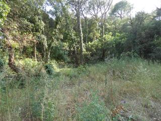 Residential Plot in Poble. Calonge parcela 626 m2 . muy llana  en urb.mas pere, con todas l