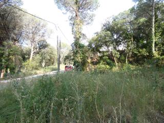 Terreny residencial a Poble. Calonge parcela 626 m2 . muy llana  en urb.mas pere, con todas l