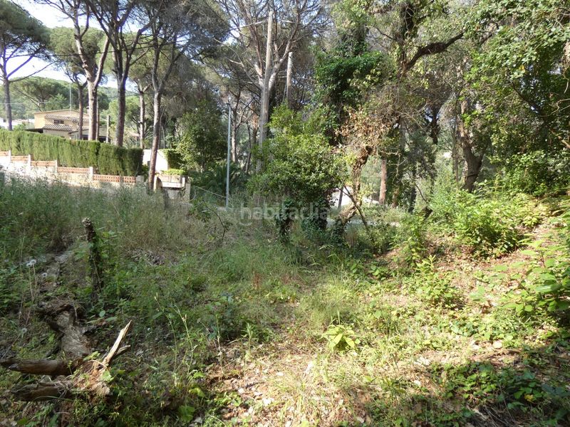 Foto 62bb553e-be38-4e87-90cb-6b4aea9a4348. Terreny residencial a Poble Calonge