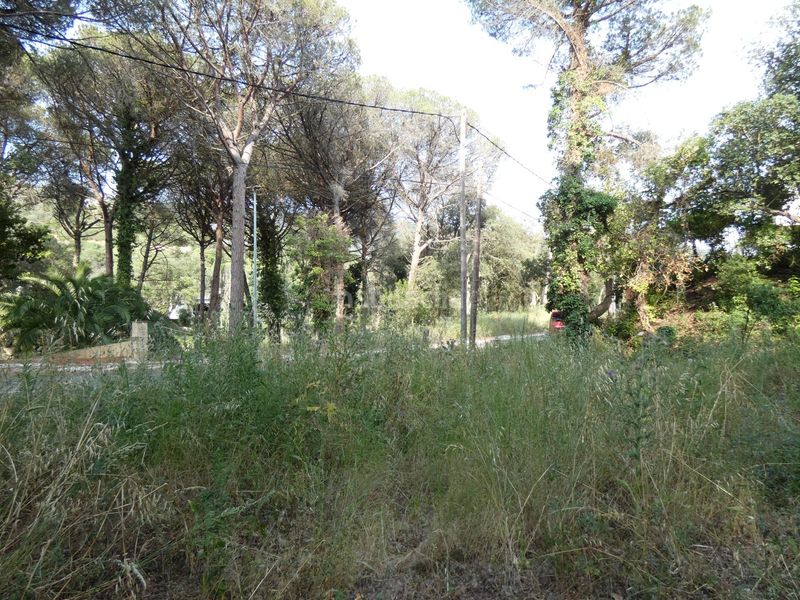 Foto bf0221fe-b4dd-4f6d-a997-5dd9ec521b6f. Terreny residencial a Poble Calonge