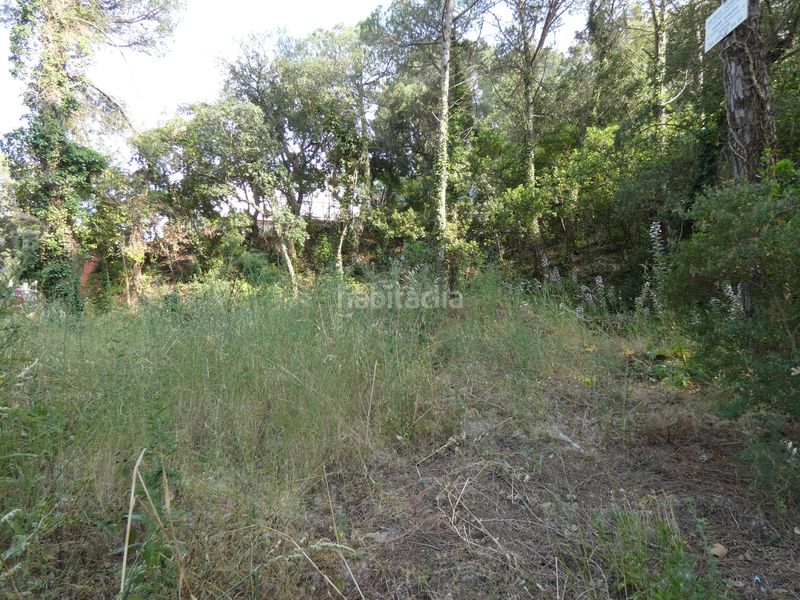 Foto f2f8cafa-2032-4df7-8943-fd4aa16066fd. Terreny residencial a Poble Calonge