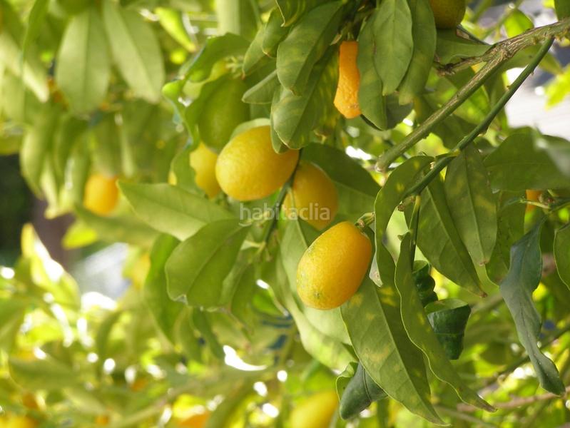 Foto bf650068-2c72-4759-ba27-1830a984652d. Chalet 3 casas independientes con vistas al mar, en parcela de 1.200 m2, para vivir o alquilar, 9h en Calonge