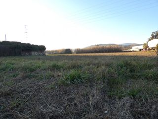 Finca rústica a Sant Joan - Vilarromà. Sant joan de palamós  se vende terreno rústico de 3.500 m2. con