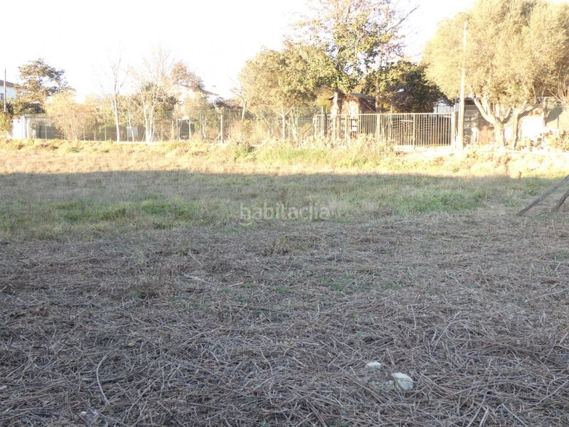 Foto 57babfac-a159-4a98-8e8d-885c2ad0d752. Finca rústica a Sant Joan - Vilarromà Palamós