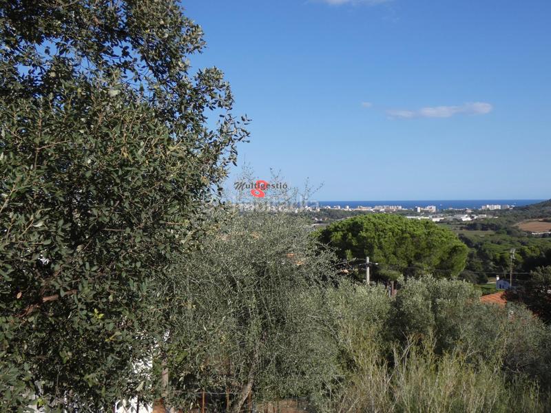 Foto 6e16982c-5a04-4758-94a5-d212824e8fea. Wohngrundstück in Cabanyes-Mas Ambrós-Mas Pallí Calonge