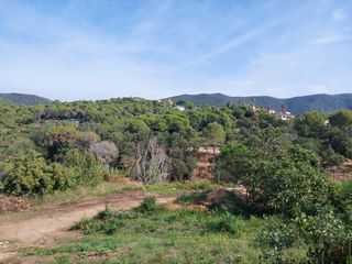 Terreny residencial a Cabanyes-Mas Ambrós-Mas Pallí