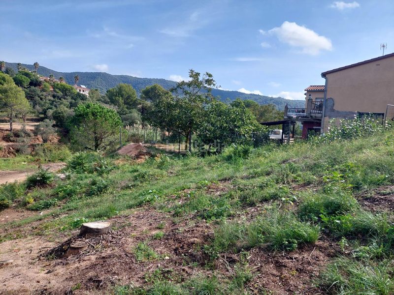 Foto 32c3d275-d877-4e3c-ab58-fb4b49eff781. Terreny residencial a Cabanyes-Mas Ambrós-Mas Pallí Calonge
