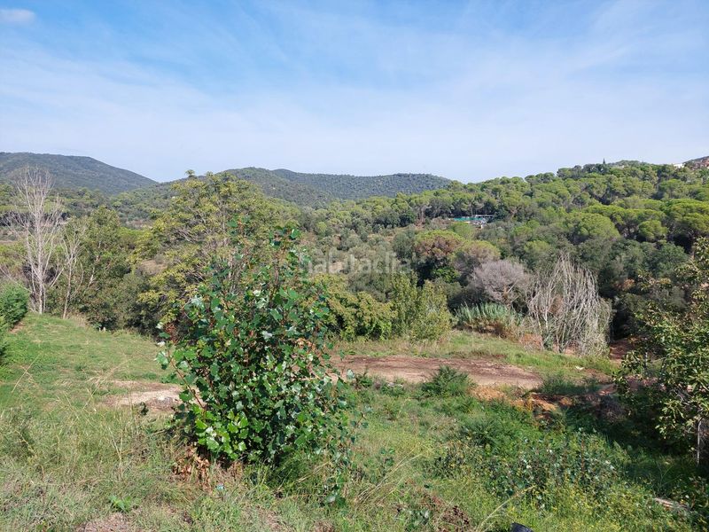 Foto 5b06d3b2-0ef6-4103-809a-5997a9f78ef8. Terreny residencial a Cabanyes-Mas Ambrós-Mas Pallí Calonge