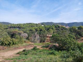 Terreno residencial en Cabanyes-Mas Ambrós-Mas Pallí. Calonge ocasión  se vende parcela en urb. mas pere de 521 m2. co