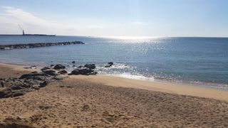 Pis a Puig Ses Forques - Torre Colomina