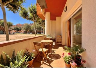 Planta baixa a Avinguda Catalunya. Palamós planta baja con terraza en muy buen estado zona av. cata