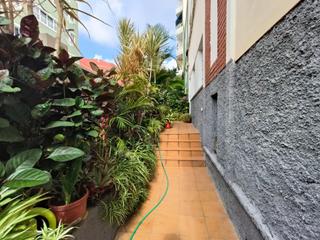 Masía  Avenida venezuela. Encantadora vivienda en esquina con jardín, local independiente