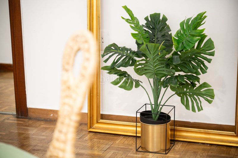 Foto 9ee42d24-54b3-46b1-af60-dcee2b0f7544. Pis a Dreta de l´Eixample Barcelona