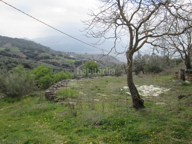 Foto 0cb30013-1afd-4674-bb1d-caa77b6cfa0c. Mas dans Loja