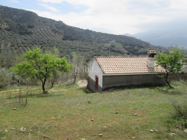 Foto 3266f522-5d0d-4b73-a452-aa3b724a9da3. Mas dans Loja