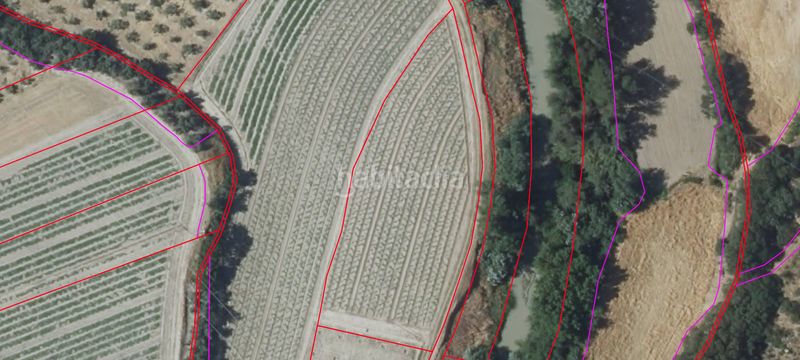 Foto f2249f4e-c7e2-43a3-aac2-95c1dcf6b2ac. Finca rústica se vende finca rústicaa en Loja