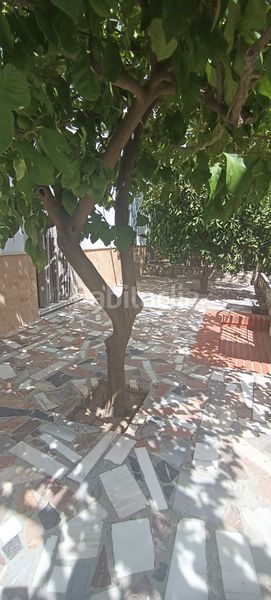 Foto e00007a1-e0f5-4b10-96a3-cab9da63530a. Casa a Loja