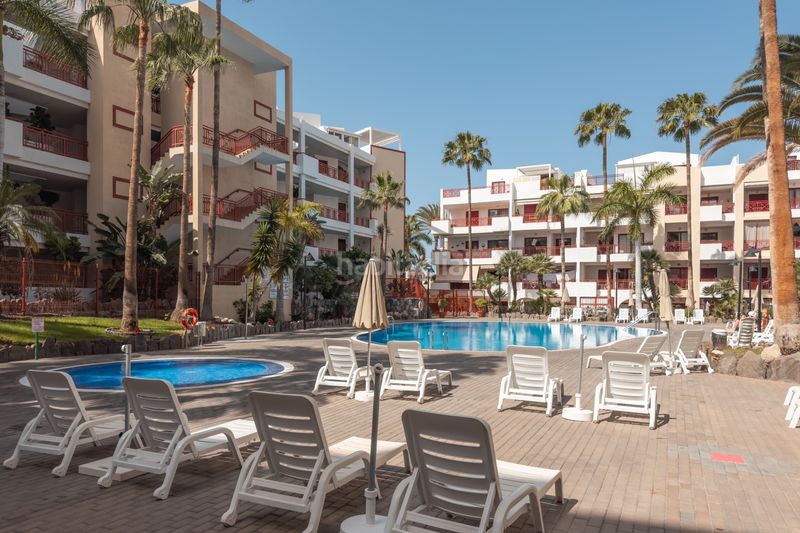 Foto 26feb51c-0f36-4b92-b1b6-d1371150248b. Apartament amb piscina a Palm - Mar Arona