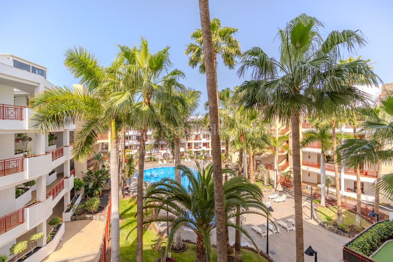 Foto cd4c7161-66ba-4941-a6f7-0b106863528e. Apartament amb piscina a Palm - Mar Arona