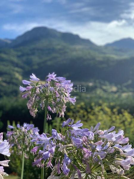 Foto e9f57460-edb5-4bab-89a0-0aab8fca187d. Masia amb calefacció a Quirós