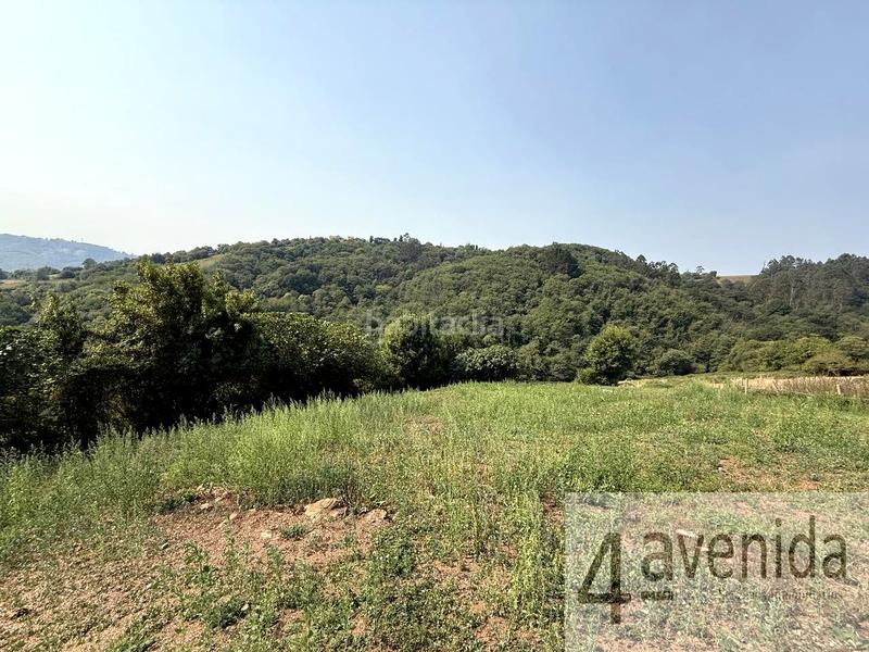 Foto 01e482d1-ecc0-46c5-adeb-956ba58128de. Terreny residencial a la iglesia 159 a Parroquias Sur - La Manjoya Oviedo