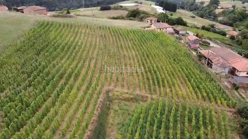 Foto 6b8f2a5a-0679-4ec2-9f61-8a0fe8cd5809. Terrain résidentiel dans somado-vegafriosa 7 dans Pravia